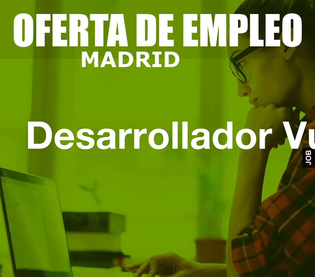 Desarrollador Vue