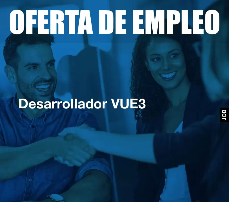 Desarrollador VUE3