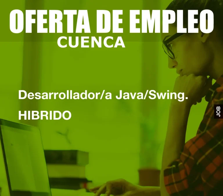 Desarrollador/a Java/Swing. HIBRIDO