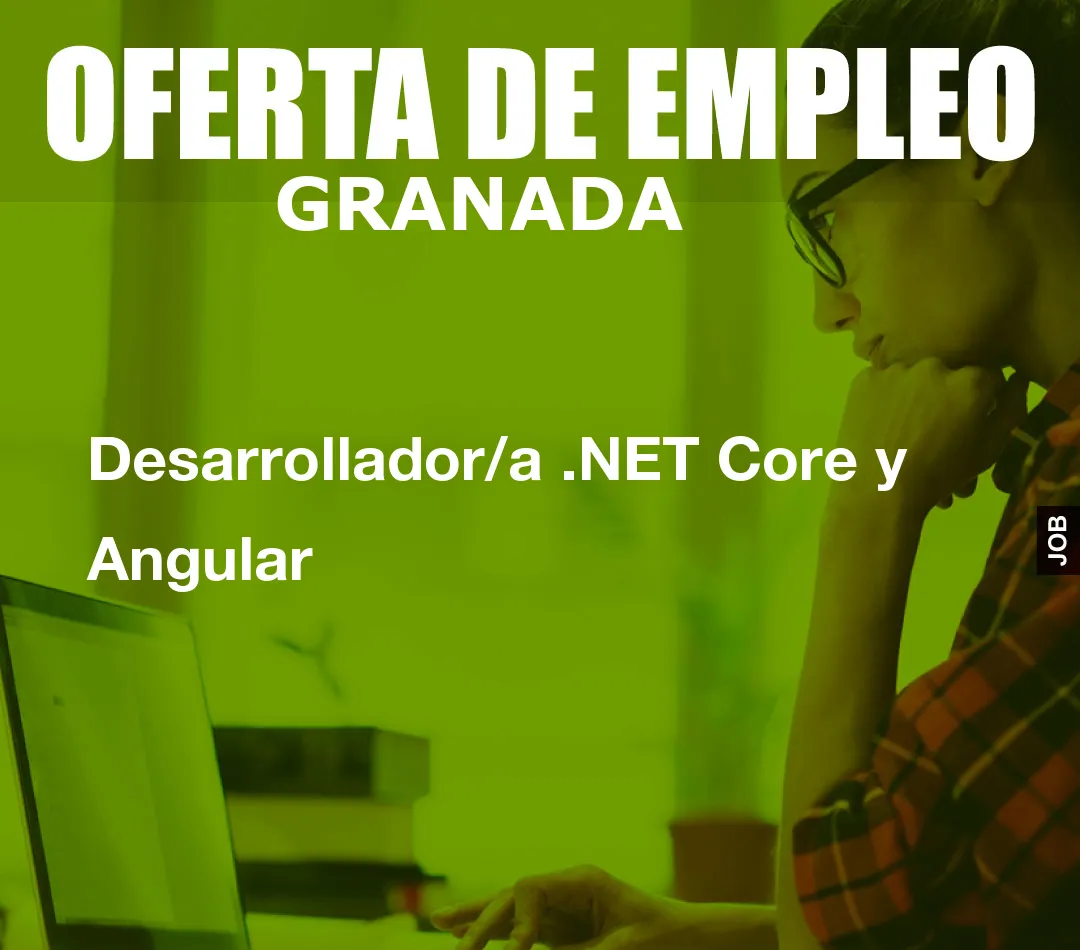 Desarrollador/a .NET Core y Angular