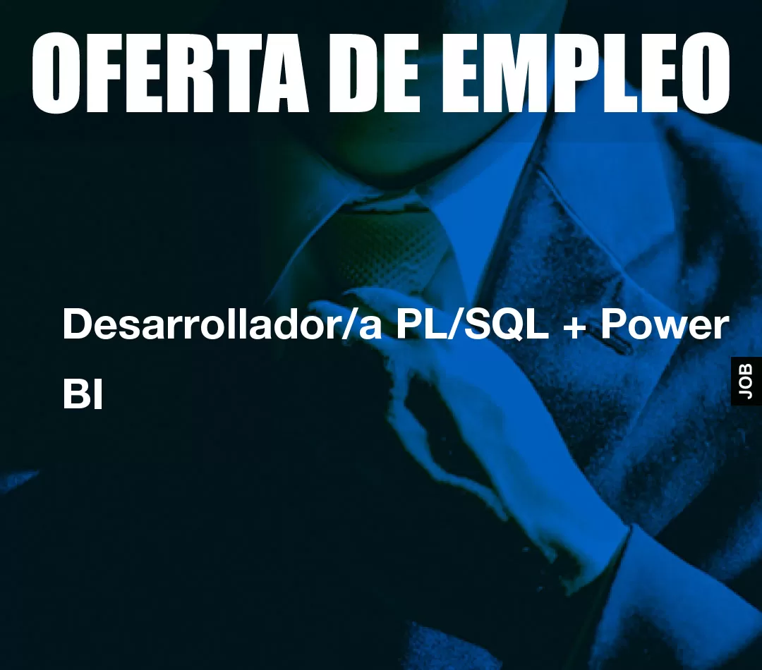 Desarrollador/a PL/SQL + Power BI