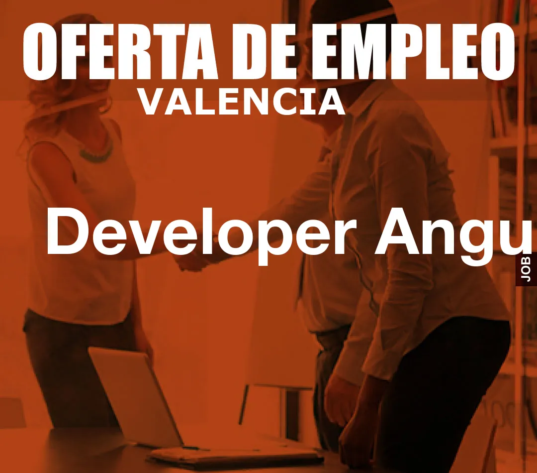 Developer Angular
