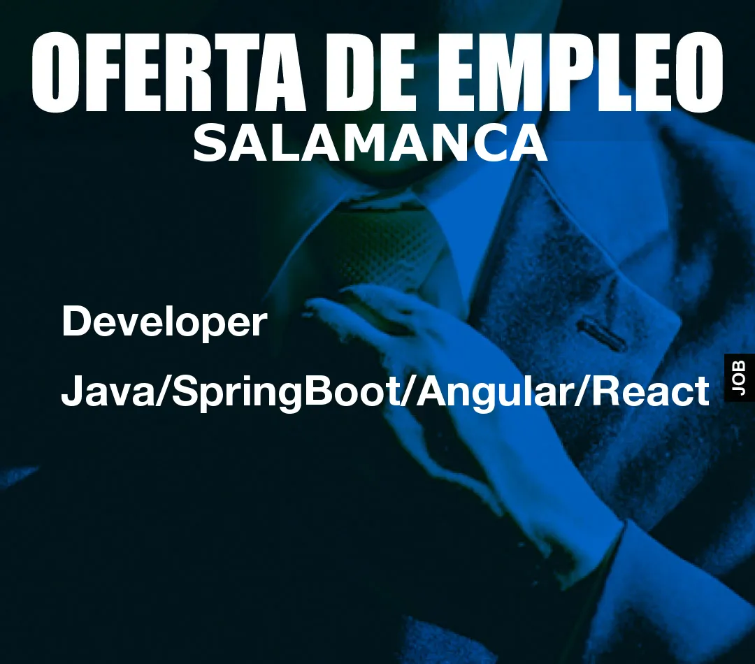 Developer Java/SpringBoot/Angular/React