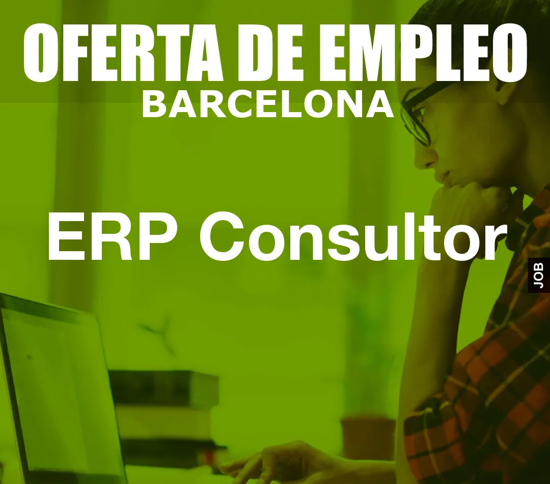 ERP Consultor