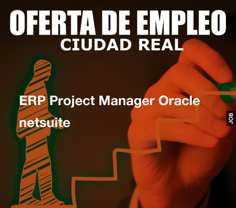 ERP Project Manager Oracle netsuite
