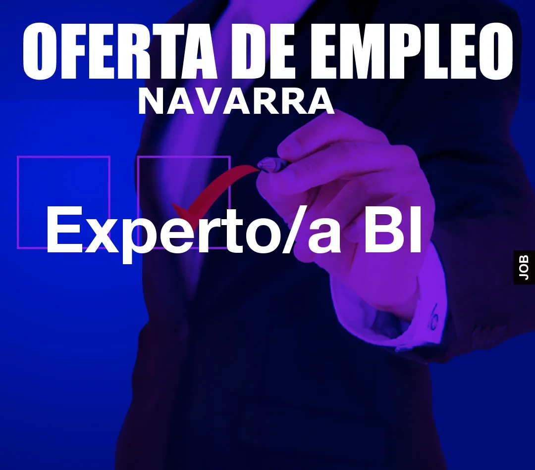 Experto/a BI Experto/a BI