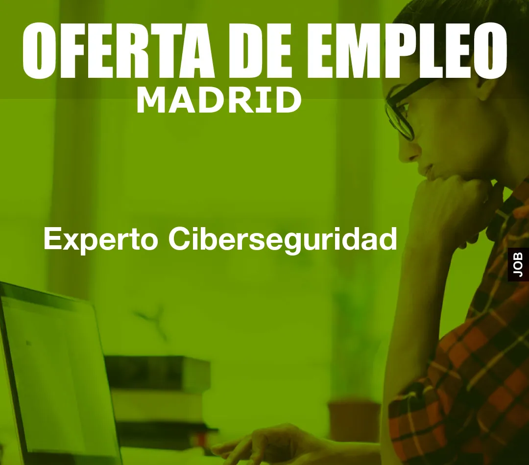 Experto Ciberseguridad