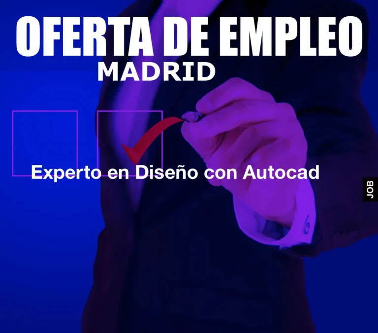 Experto en Diseño con Autocad