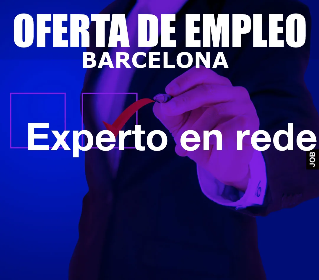 Experto en redes