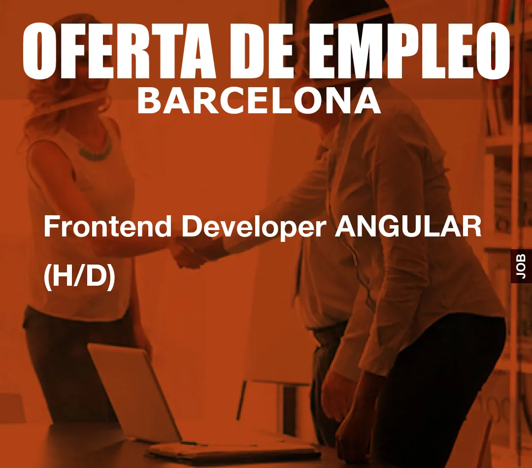 Frontend Developer ANGULAR  (H/D)