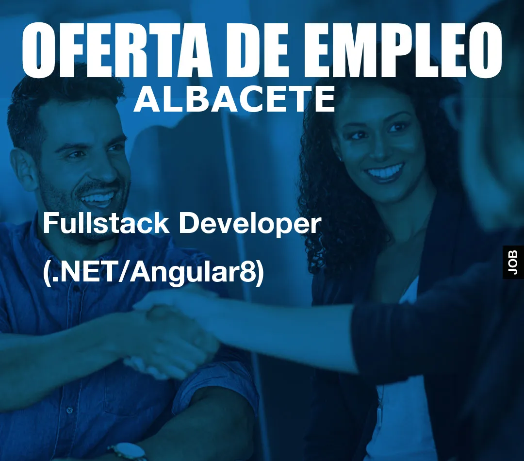 Fullstack Developer (.NET/Angular8)