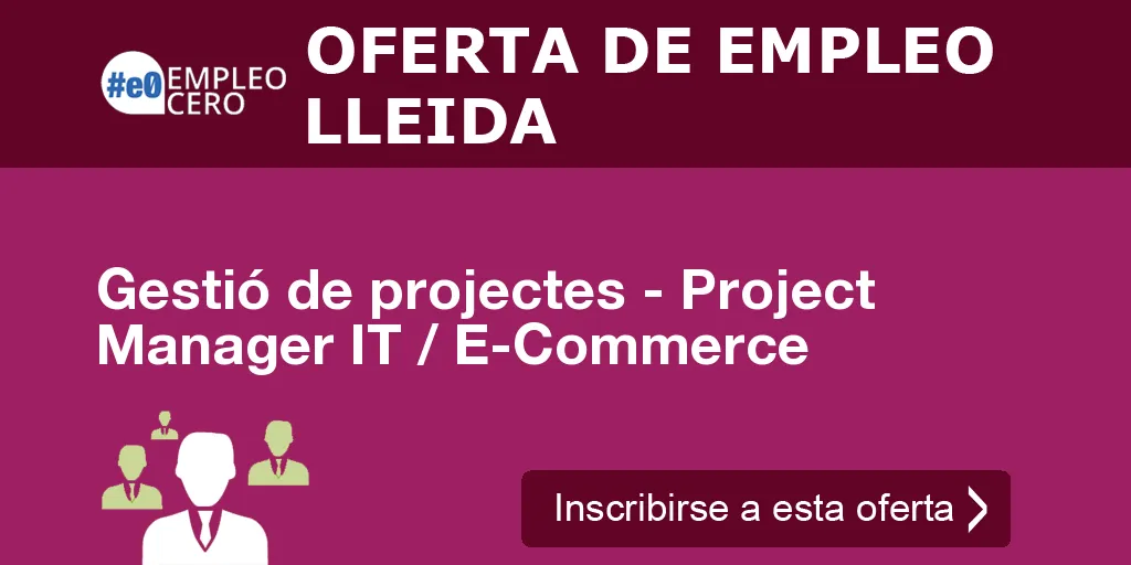 Gestió de projectes - Project Manager IT / E-Commerce Gestió de projectes - Project Manager IT / E-Commerce