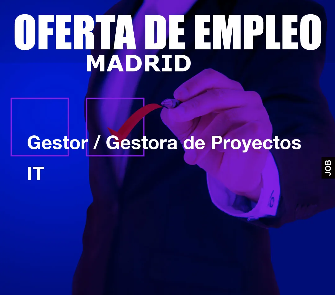 Gestor / Gestora de Proyectos IT