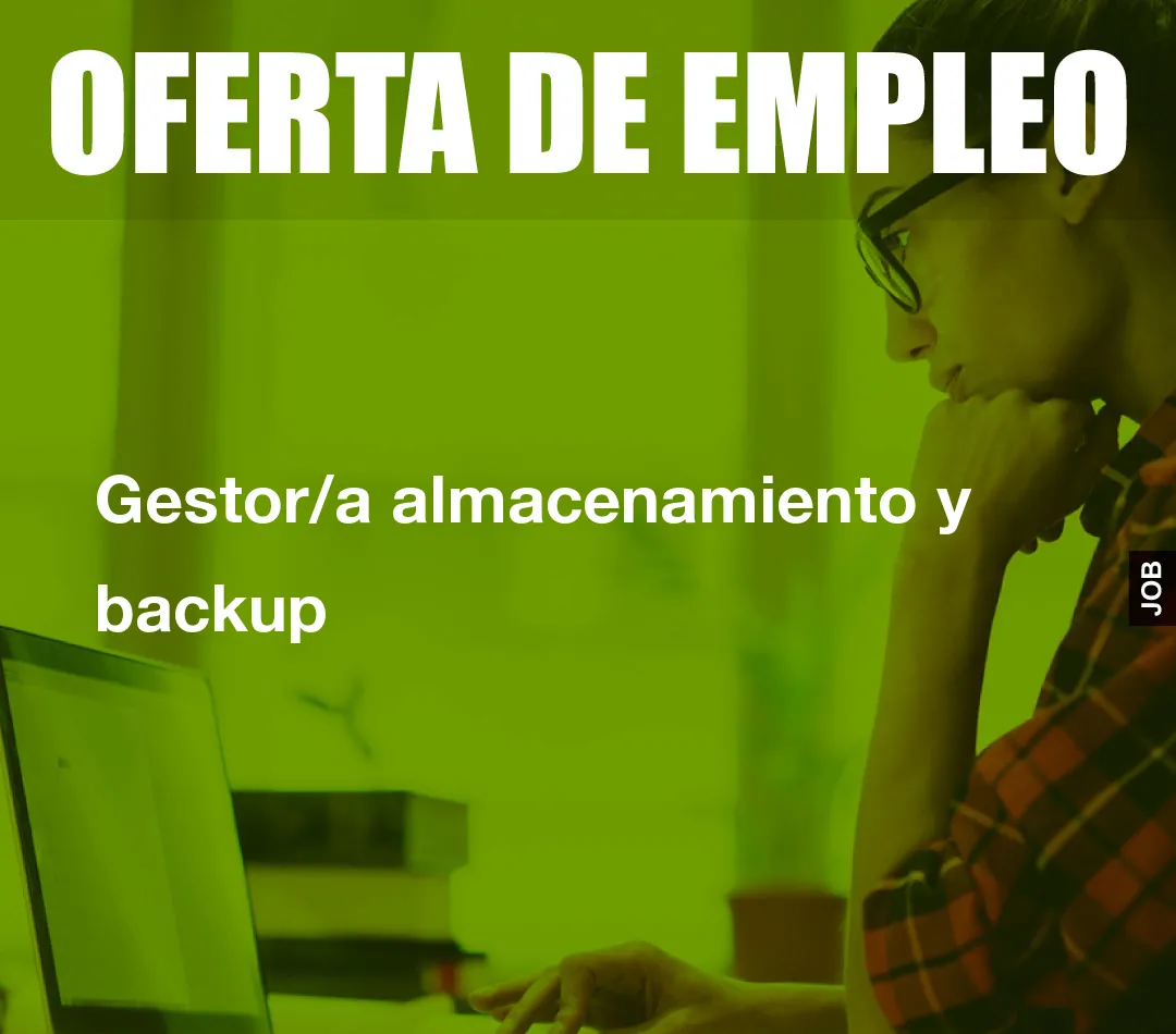 Gestor/a almacenamiento y backup Gestor/a almacenamiento y backup
