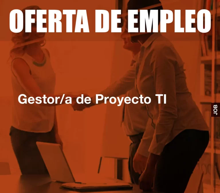 Gestor/a de Proyecto TI