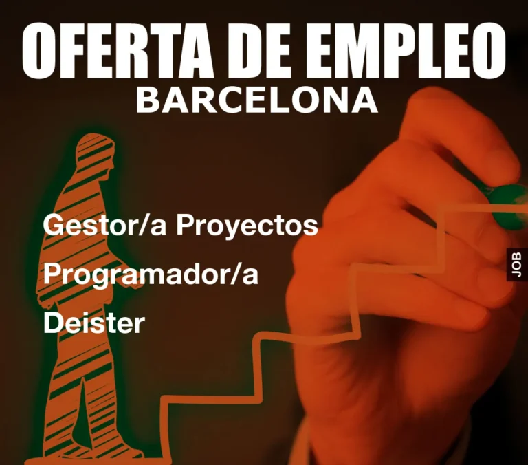 Gestor/a Proyectos Programador/a Deister