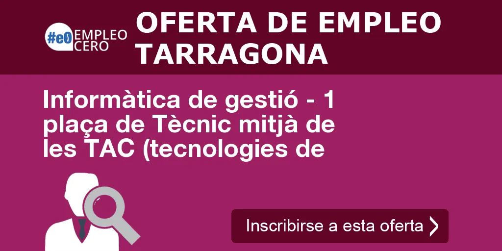 Informàtica de gestió - 1 plaça de Tècnic mitjà de les TAC (tecnologies de