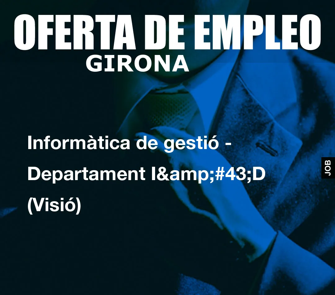 Informàtica de gestió – Departament I+D (Visió)