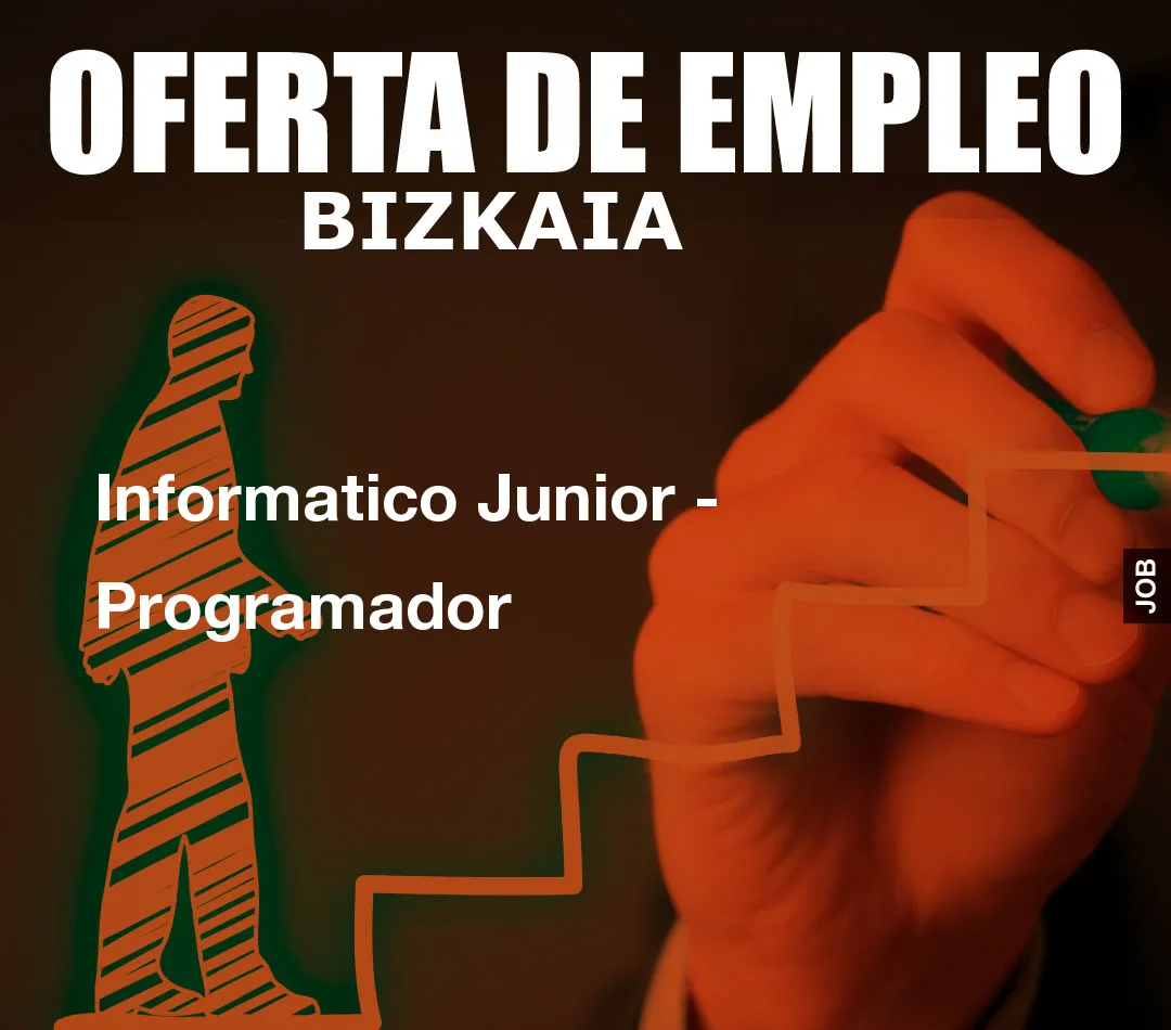 Informatico Junior – Programador