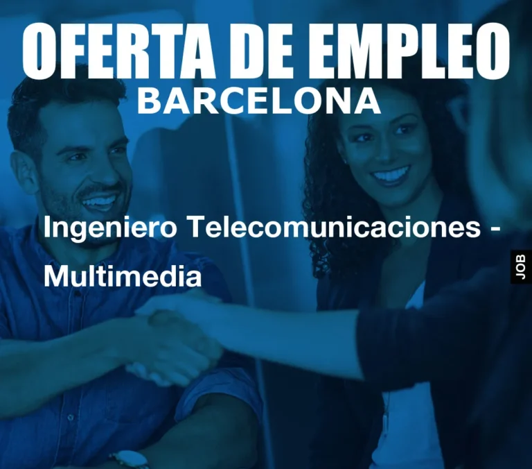 Ingeniero Telecomunicaciones – Multimedia