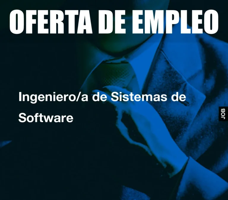 Ingeniero/a de Sistemas de Software