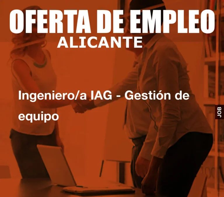 Ingeniero/a IAG – Gestión de equipo