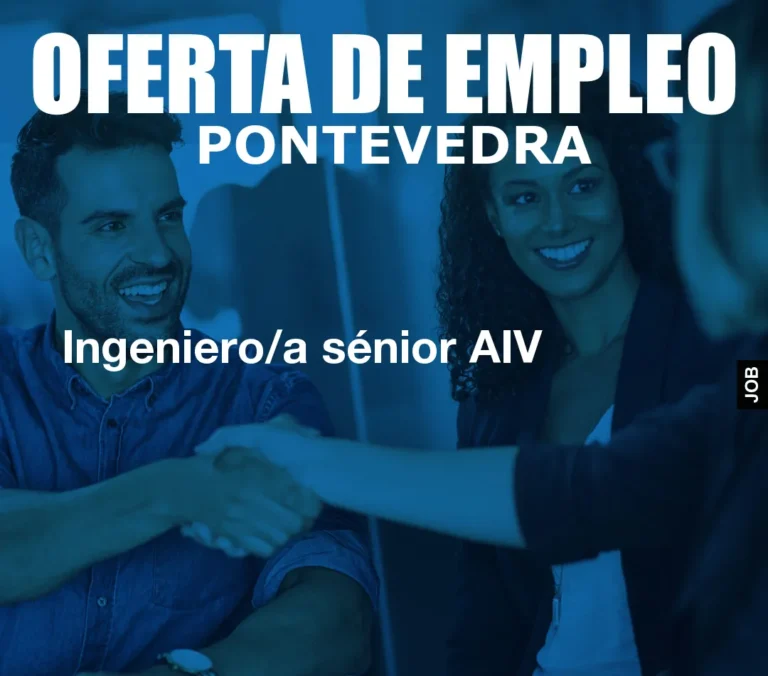Ingeniero/a sénior AIV