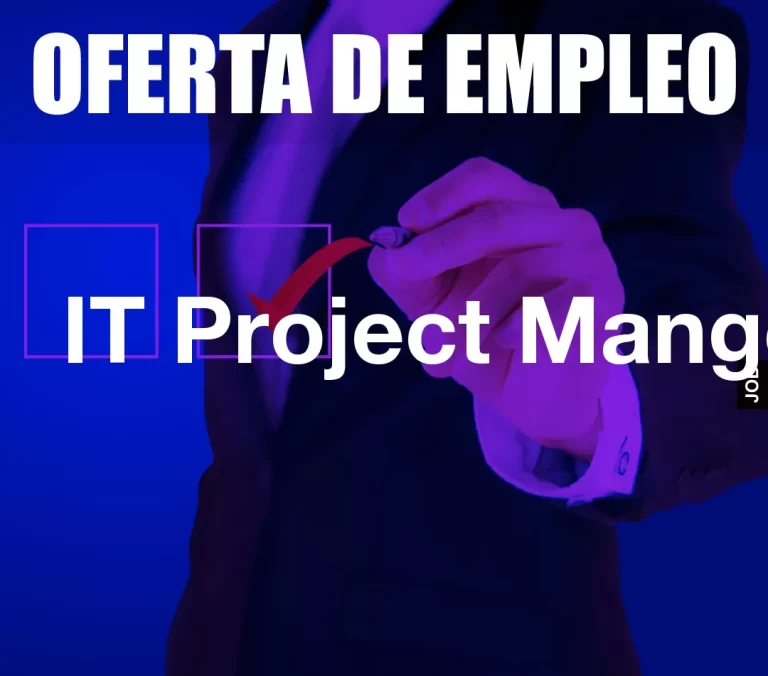 IT Project Manger