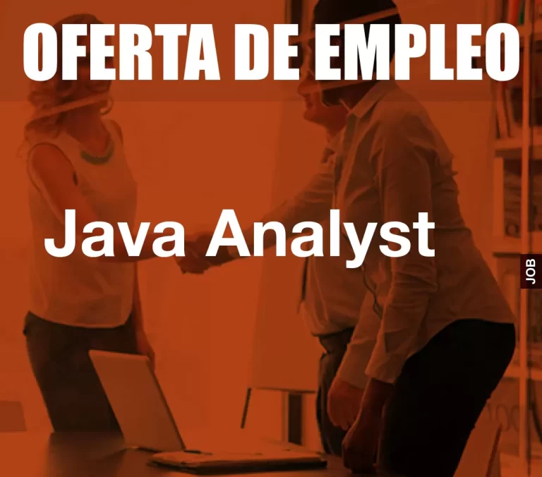 Java Analyst