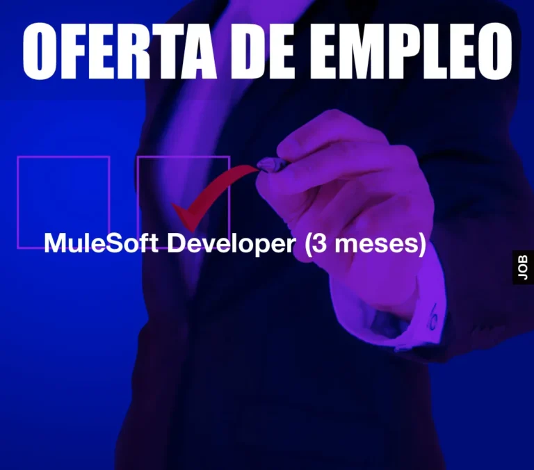 MuleSoft Developer (3 meses)