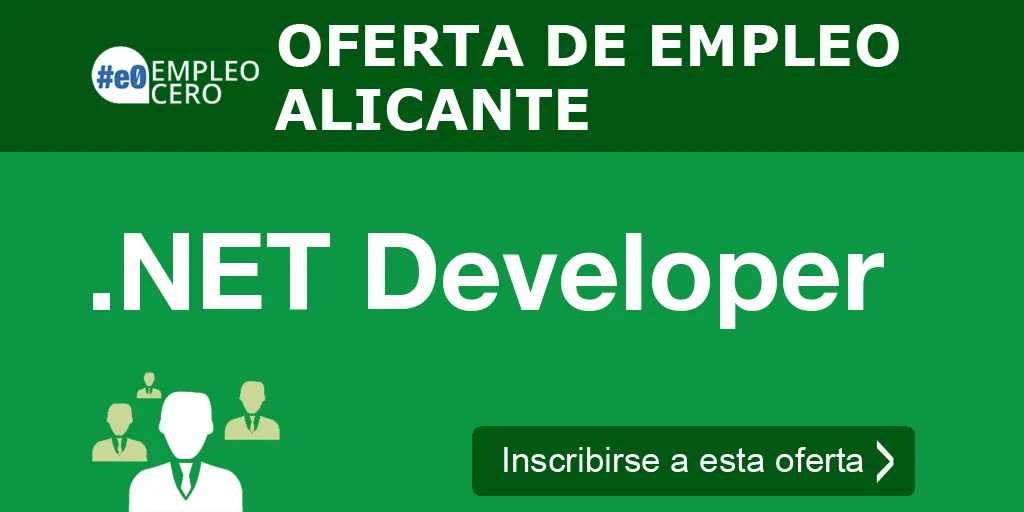 .NET Developer .NET Developer