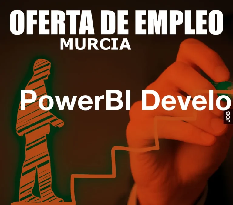 PowerBI Developer