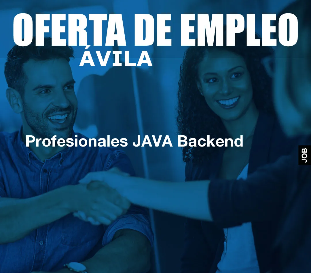 Profesionales JAVA Backend Profesionales JAVA Backend