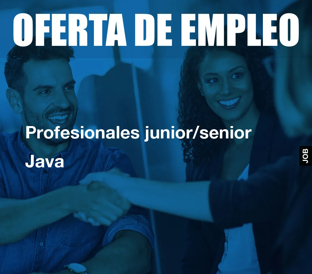 Profesionales junior/senior Java Profesionales junior/senior Java