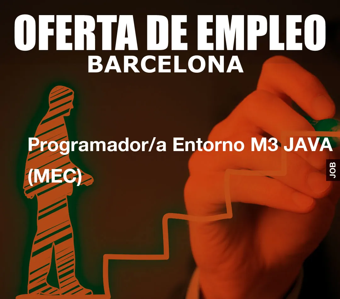 Programador/a Entorno M3 JAVA (MEC)