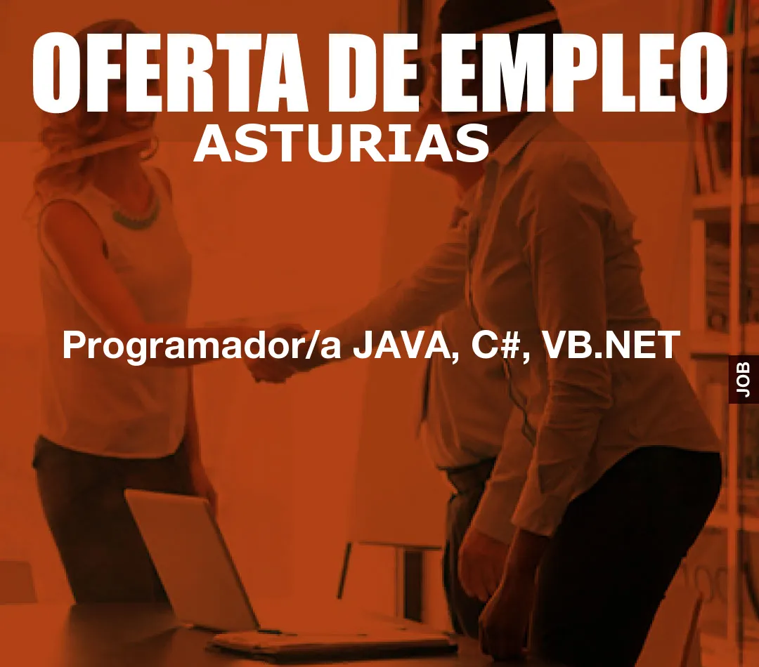 Programador/a JAVA, C#, VB.NET