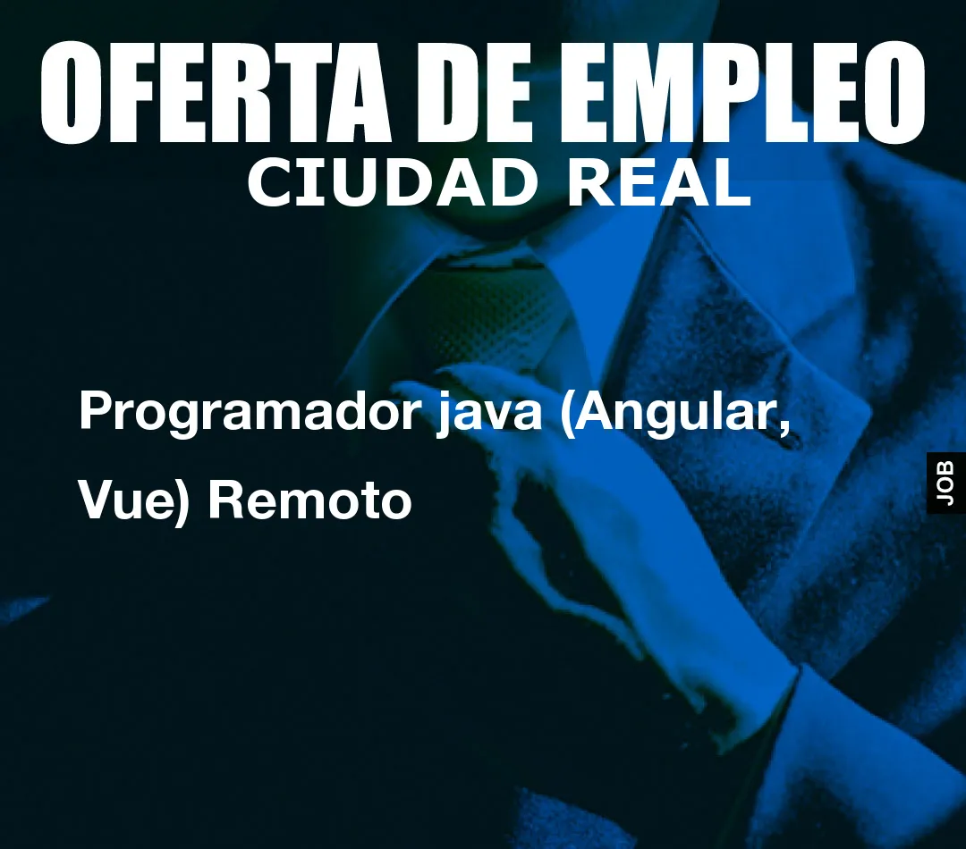Programador java (Angular, Vue) Remoto