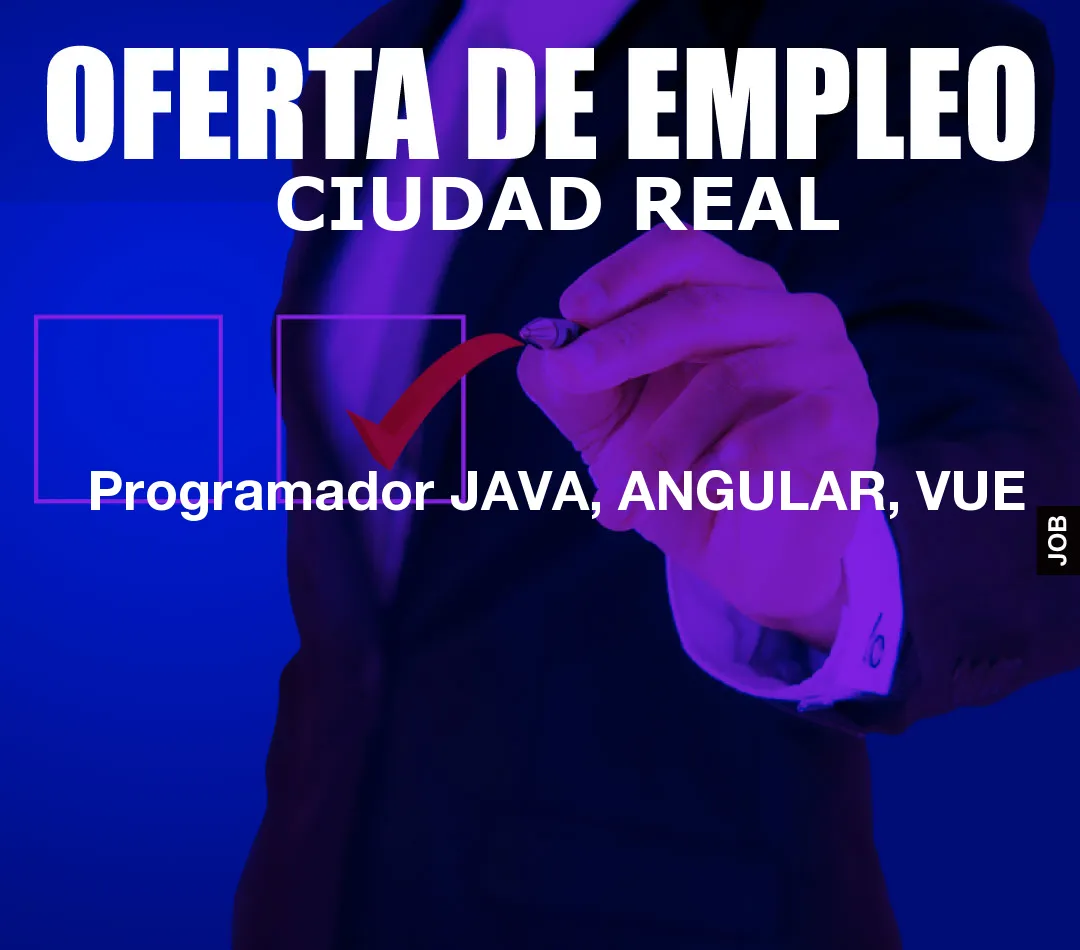 Programador JAVA, ANGULAR, VUE