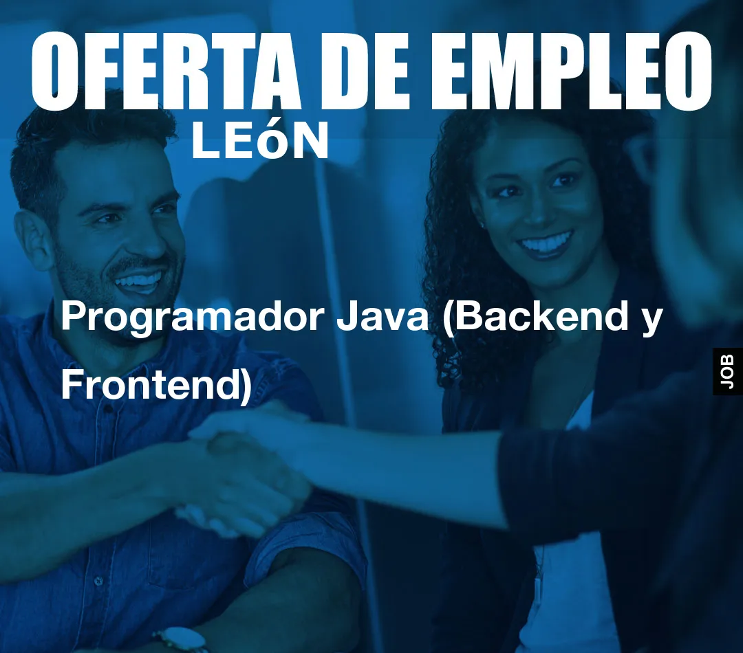 Programador Java (Backend y Frontend)