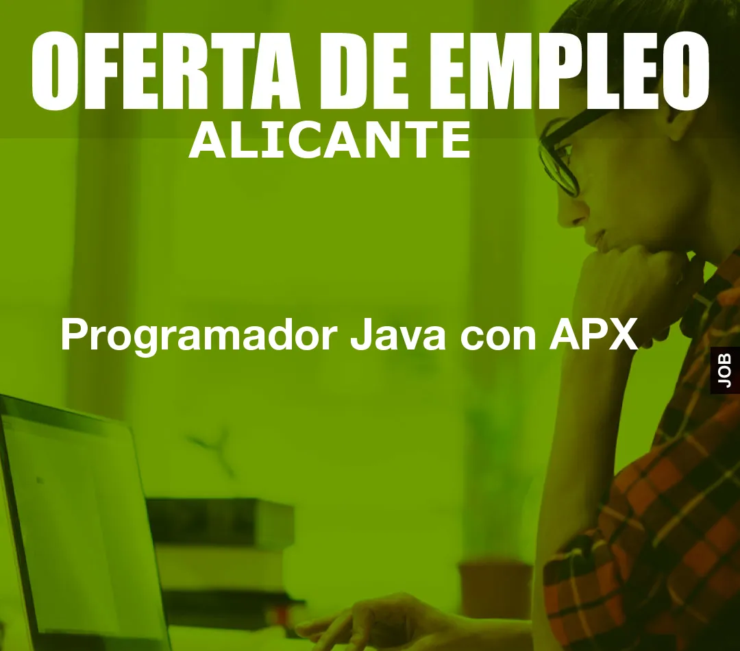 Programador Java con APX