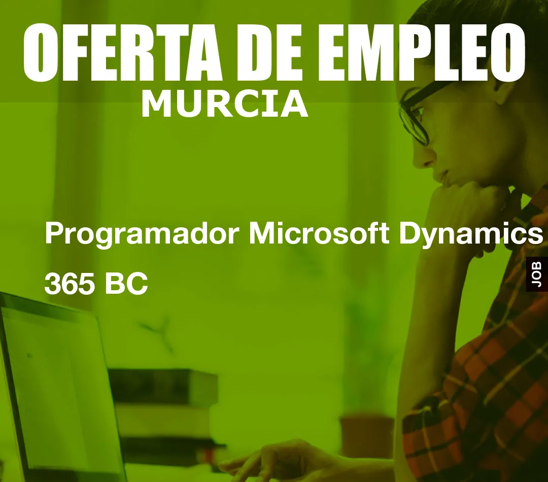 Programador Microsoft Dynamics 365 BC