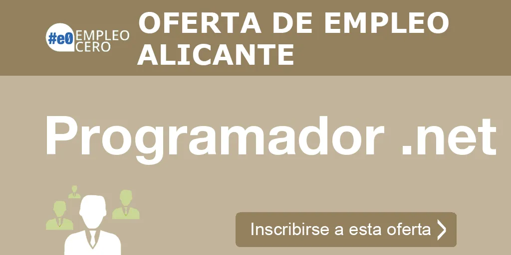 Programador .net Programador .net