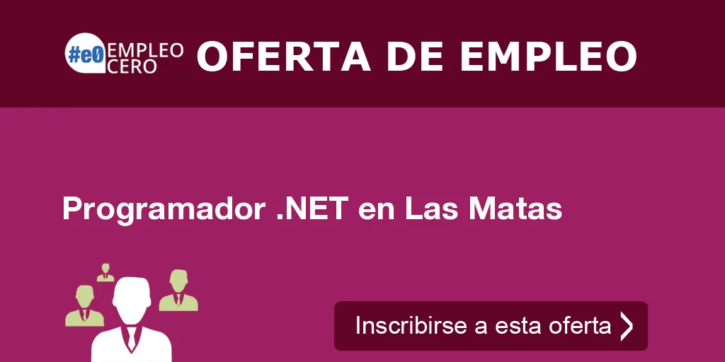 Programador .NET en Las Matas
