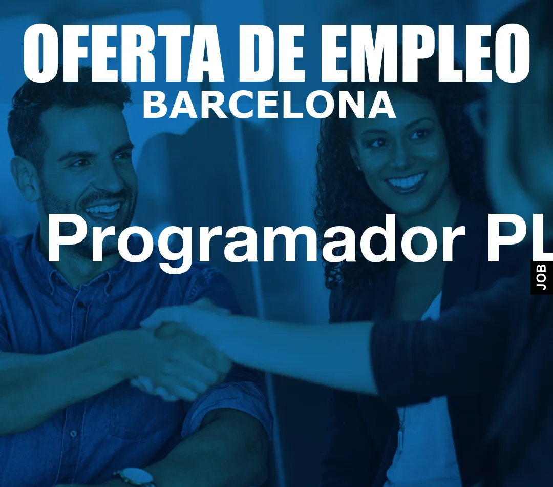 Programador PLM Programador PLM