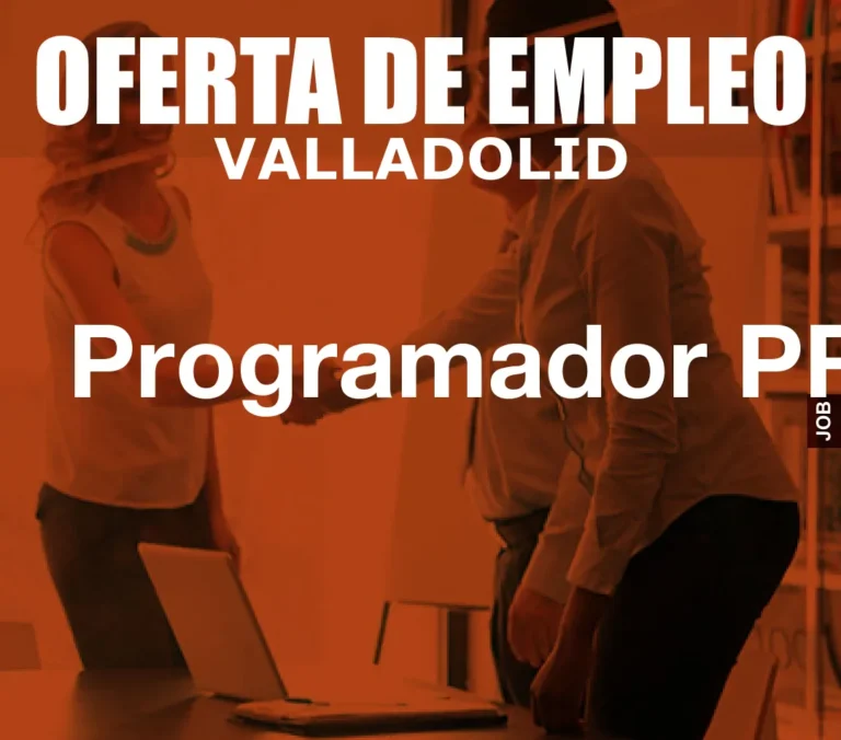 Programador PROC