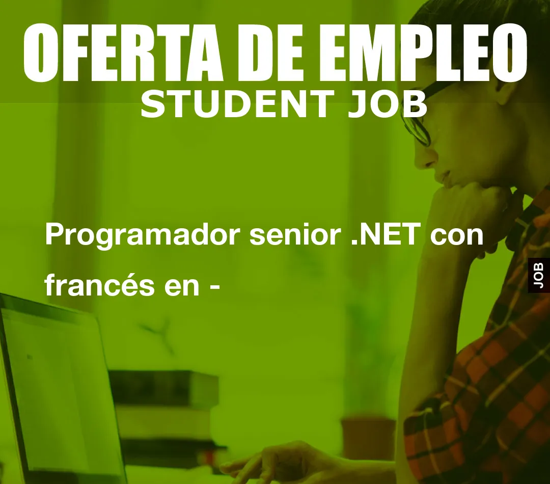 Programador senior .NET con franc
