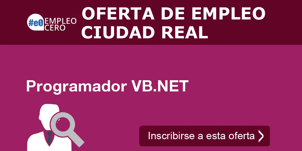 Programador VB.NET