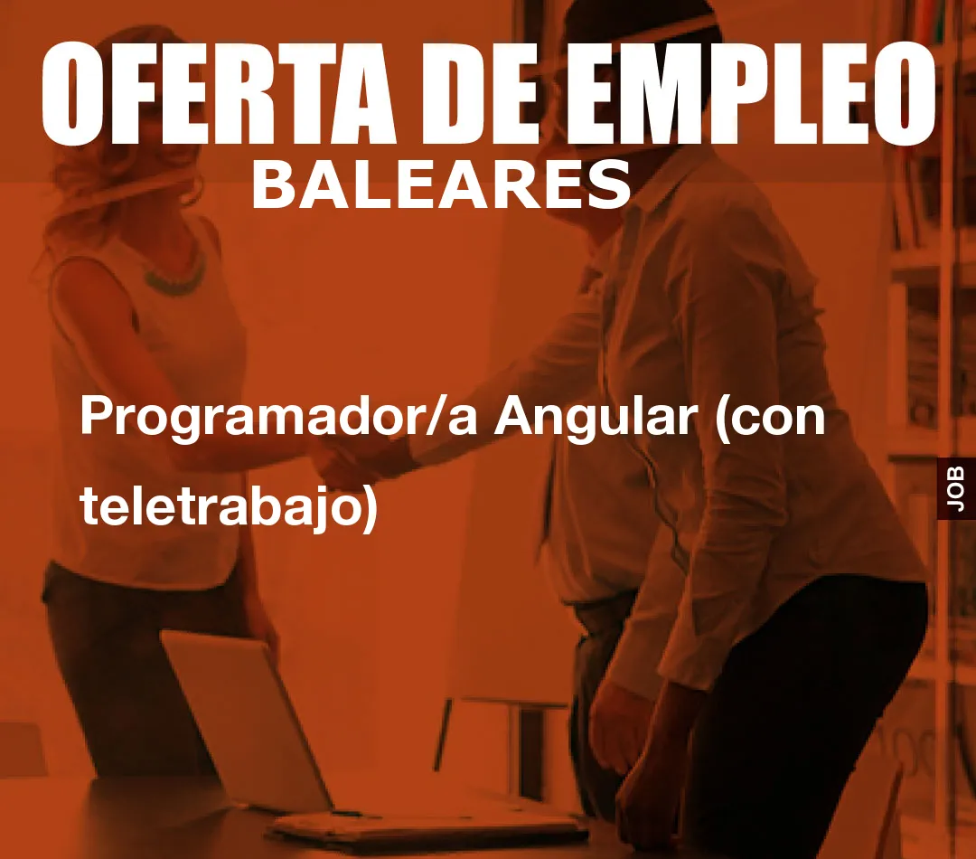 Programador/a Angular (con teletrabajo) Programador/a Angular (con teletrabajo)