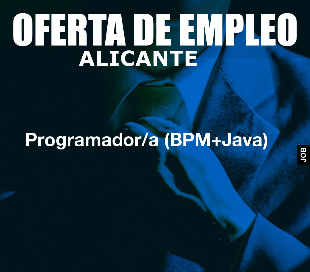 Programador/a (BPM+Java) Programador/a (BPM+Java)