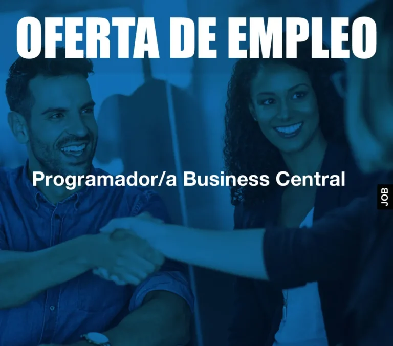 Programador/a Business Central